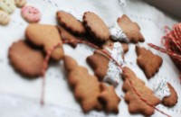 Christmas cookies_3